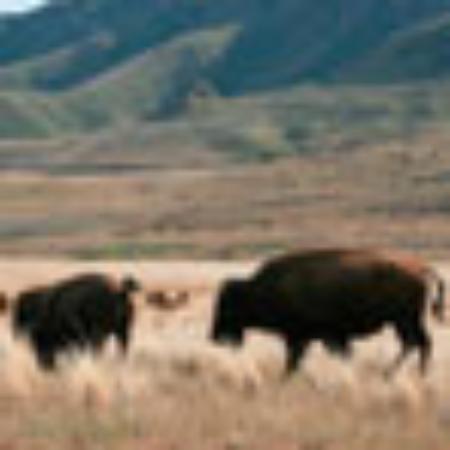 Food Belle Restaurant